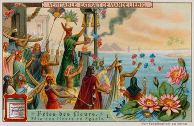 Festival des Fleurs dans l