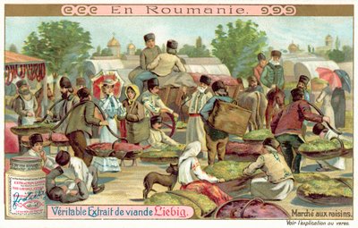 Marché aux raisins, Roumanie - European School
