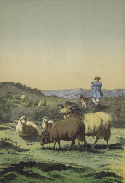 Landes d