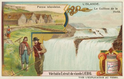 Ferme islandaise et la Gullfoss (Chutes d