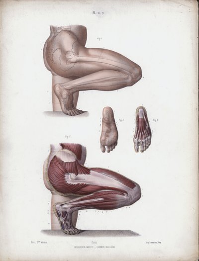 Illustration pour L
