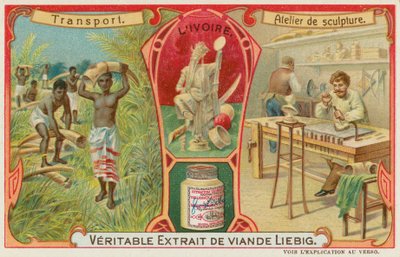 Ivoire - European School