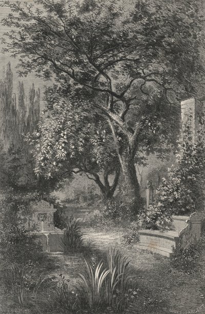Jardin d