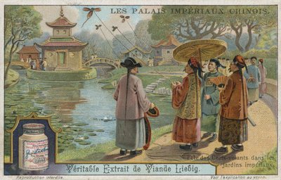 Festival de cerfs-volants dans les jardins impériaux, Chine - European School