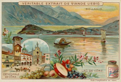 Lac de Côme - European School