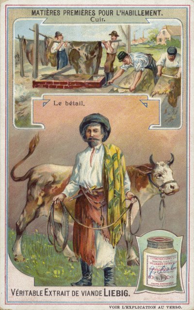 Cuir : bétail - European School