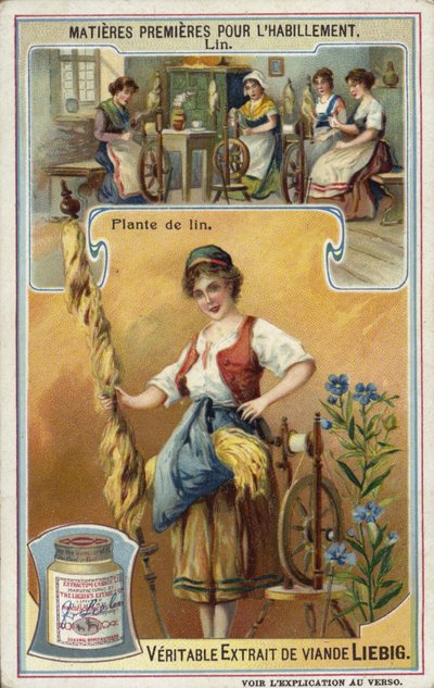 Lin : plante de lin - European School