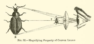 Propriété Grossissante des Lentilles Convexes (gravure) - European School