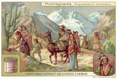 Nomades Mapuche - European School