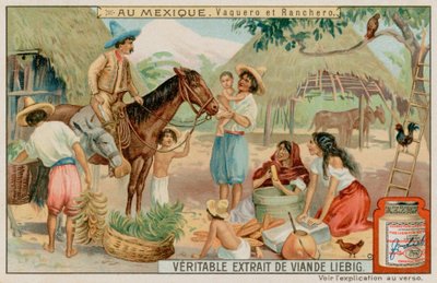 Ranchers et cowboys mexicains - European School