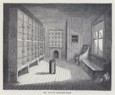 Salle d