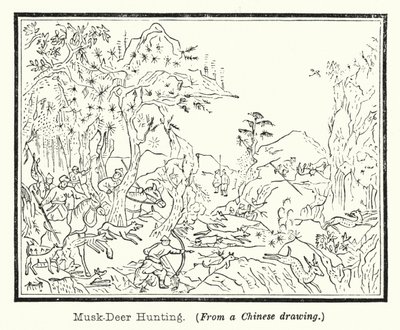 Chasse au cerf porte-musc - European School