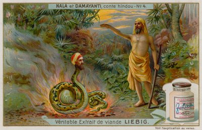Nala sauve le serpent Naga Karkotaka - European School
