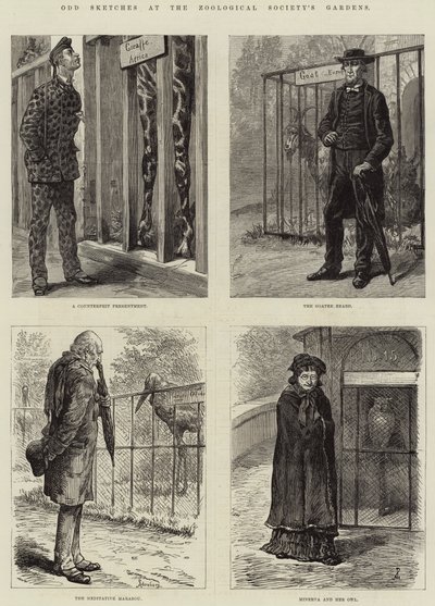 Croquis divers aux jardins de la Société zoologique (gravure) - European School