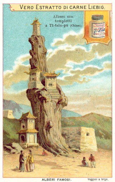 Vieil arbre avec des temples en Chine - European School