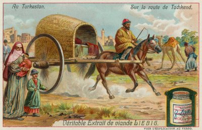 Sur la Route de Tachkent en Ouzbékistan - European School