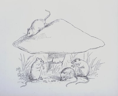 Page d