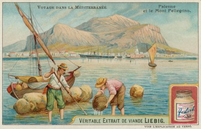 Palerme et le mont Pellegrino - European School