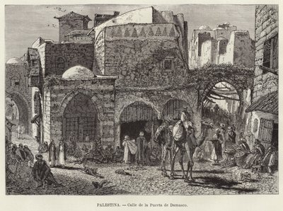Palestine, Rue de la Porte de Damas - European School