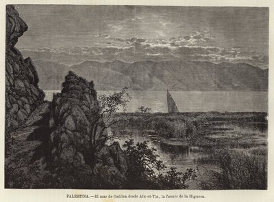 Palestine, La mer de Galilée depuis Ain-et-Tin, la source du Figuier - European School