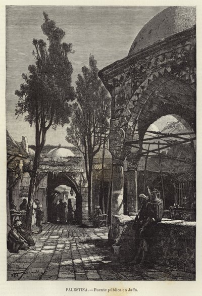 Palestine, Fontaine publique à Jaffa - European School