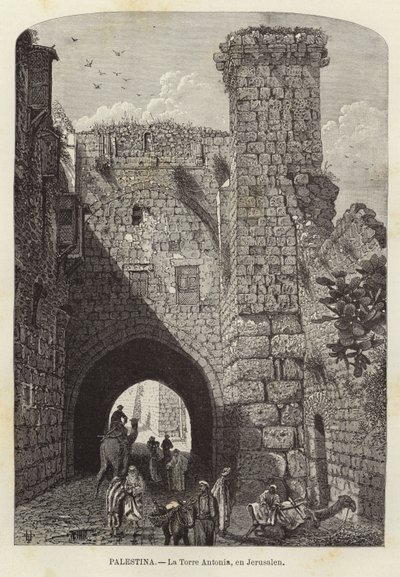Palestine, La tour Antonia, à Jérusalem - European School