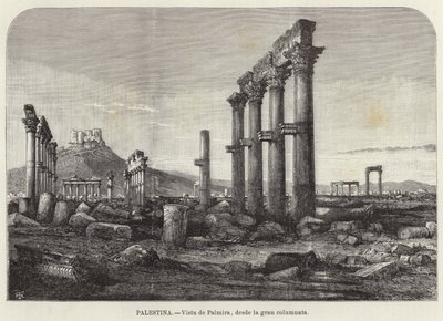 Palestine, Vue de Palmyre, depuis la grande colonnade - European School