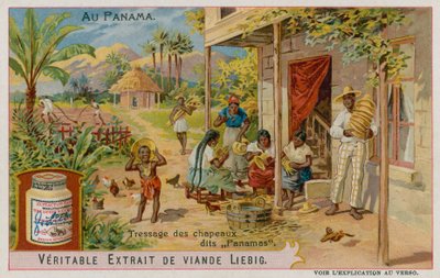 Fabrication de chapeaux de Panama - European School