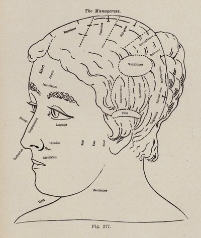 Phrenologie, une directrice - European School