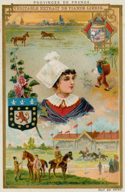 Poitou - European School