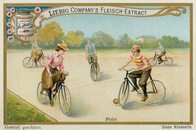 Polo - European School