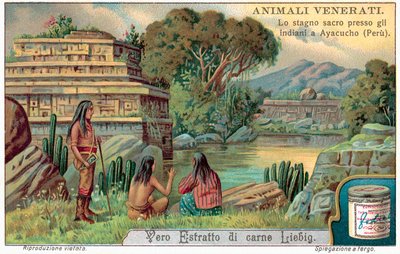 Bassin de poissons sacrés à Ayacucho, Pérou - European School