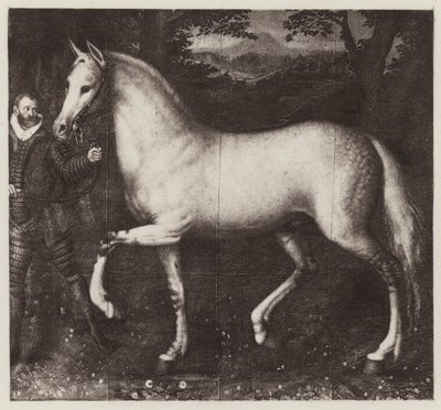 Le Cheval de la Reine Élisabeth - European School