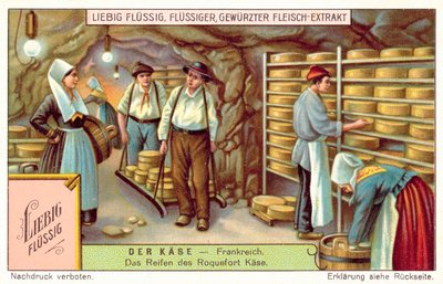 Maturation des fromages Roquefort en France - European School