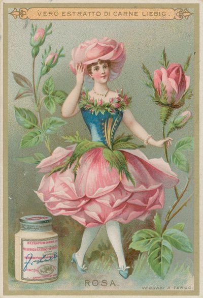 Fille aux Fleurs de Rose - European School