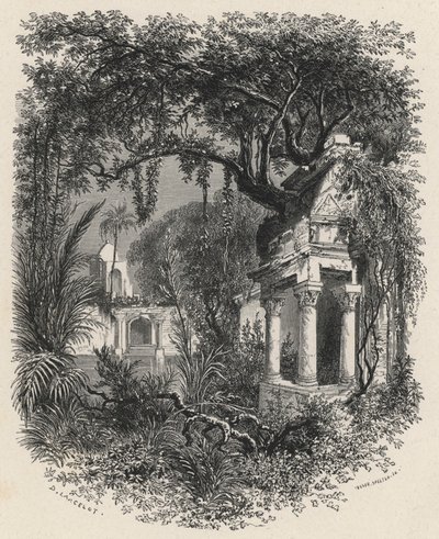 Ruines des jardins du Grand Mogol - European School