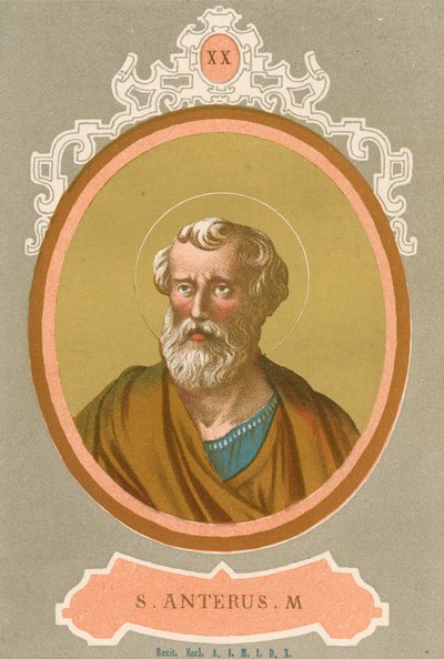 S Anterus M - European School