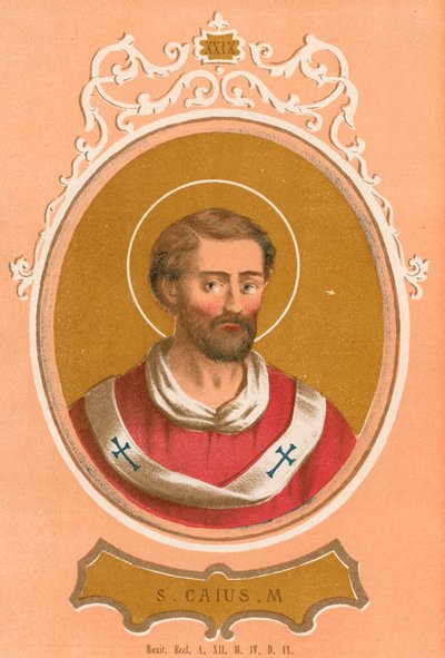 Saint Caius M - European School