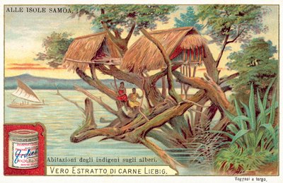 Maison dans les arbres samoane - European School