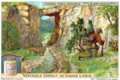 Pont de grès dans le White Canyon, Virginie - European School