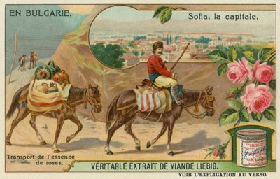 Sofia et un commerçant transportant de l