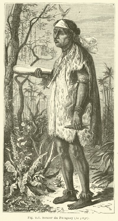 Sorcier du Paraguay - European School