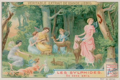 Sylphes et animaux de la forêt - European School