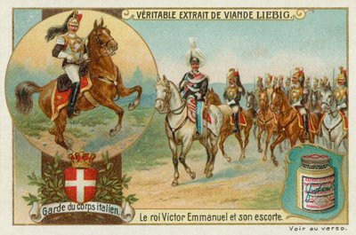 La Garde du corps du roi d