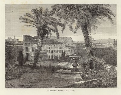 Le Colisée depuis le Palatin - European School