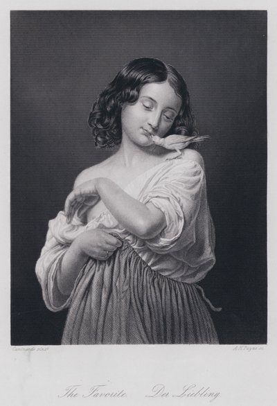 La Favorite - European School