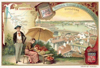 La Garonne et une vue de Toulouse - European School