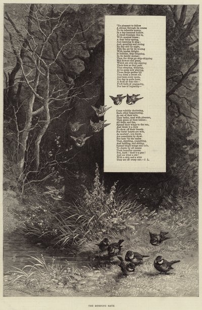 Le bain du matin (gravure) - European School