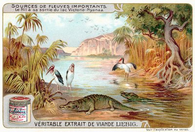 Le Nil à sa sortie du lac Victoria (chromolithographie) - European School