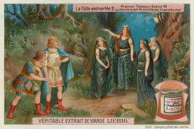 La Reine de la Nuit rencontre Tamino et Papageno - European School